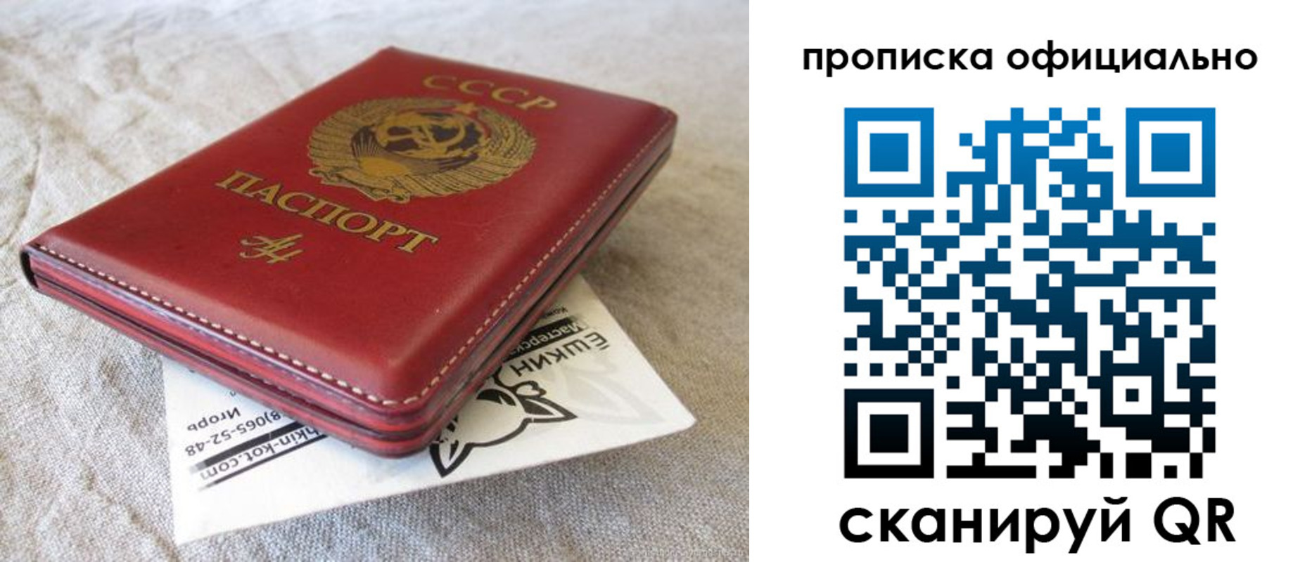 прописка иностранных граждан в Мурманской области